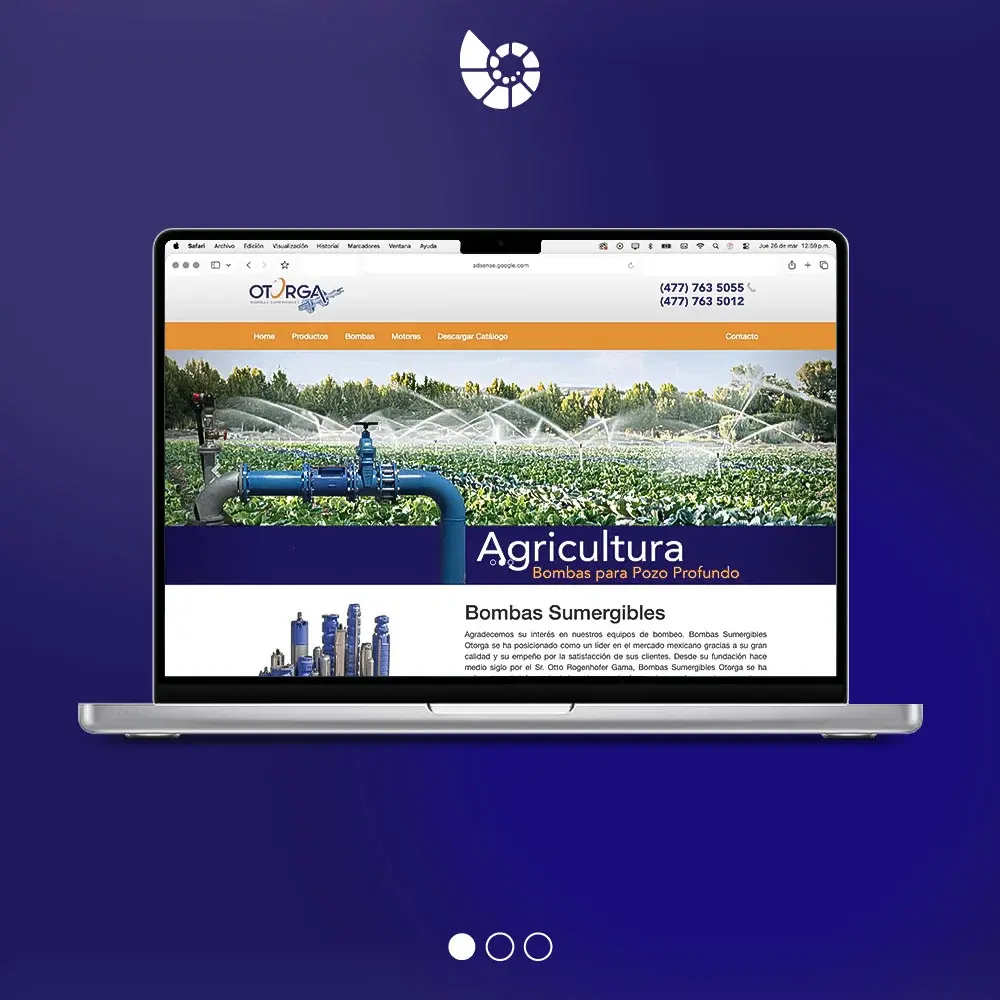 muestra pagina web Página Web Profesional