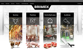 Página web paquete Profesional Brimex