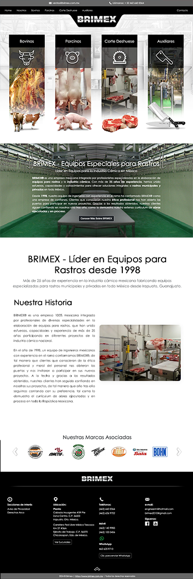 Página web paquete Profesional Brimex