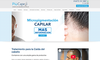 Página web paquete Profesional Piu Capelli
