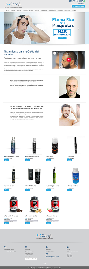 Página web paquete Profesional Piu Capelli